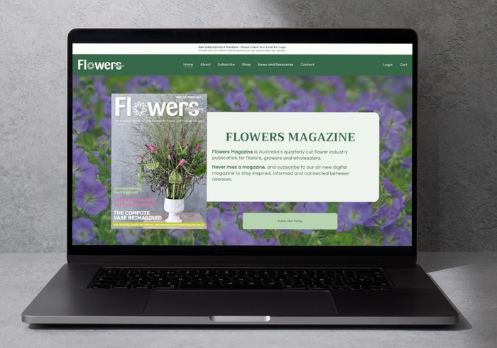 A mockup of a theatre website displayed on multiple devices including a desktop computer, tablet, and smartphone. The website features colourful images of theatre performers in various scenes: one person in a colourful dress with arms outstretched, another in a blue shirt laughing, and a close-up of a thoughtful person. The homepage on the desktop and tablet displays the word "Theatre" over a stage scene. The phone shows navigation options and thumbnails for different theatre productions. The website header reads “Anthea Williams.”